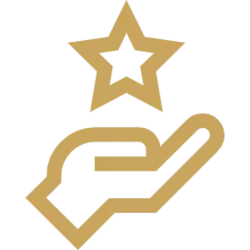 star.webp star.webp